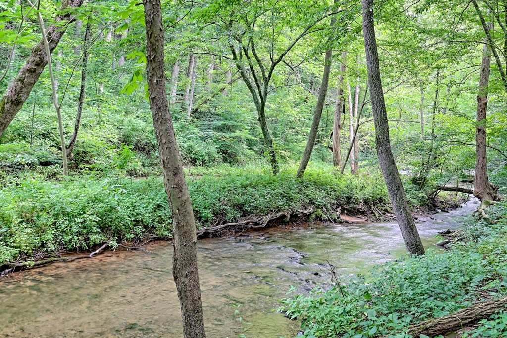 416682 Blairsville Residential