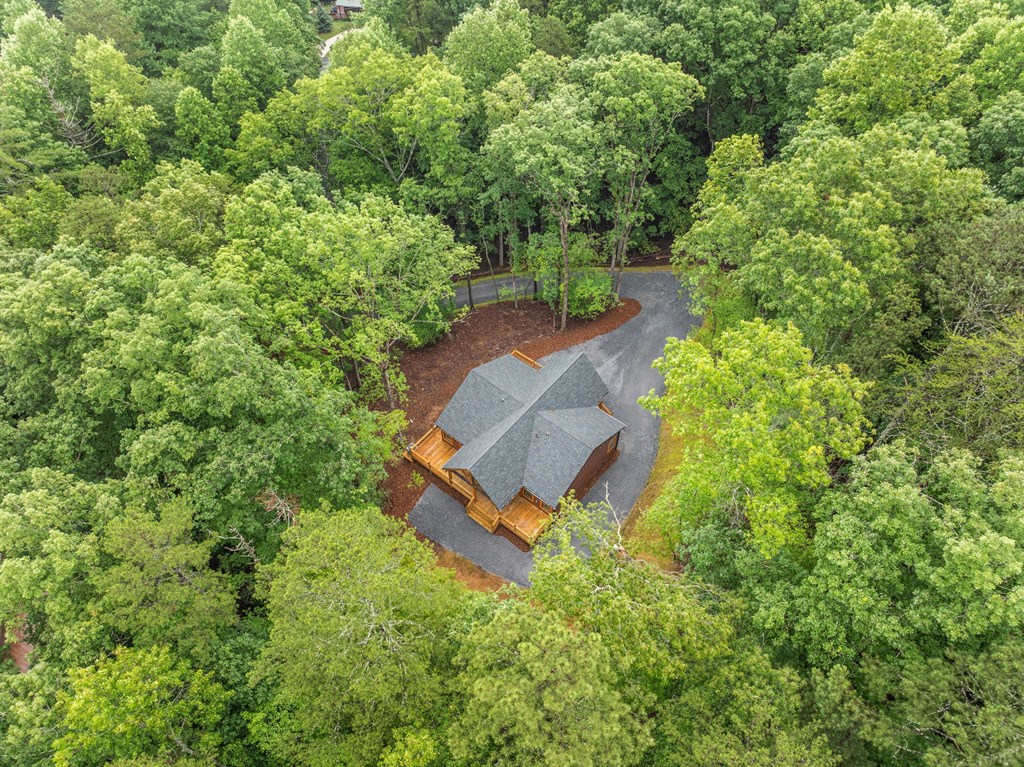416698 Ellijay Residential