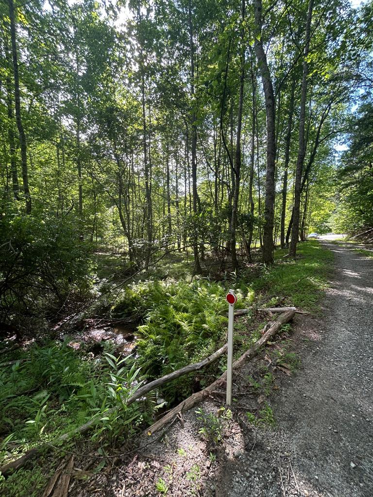 416707 Hayesville 