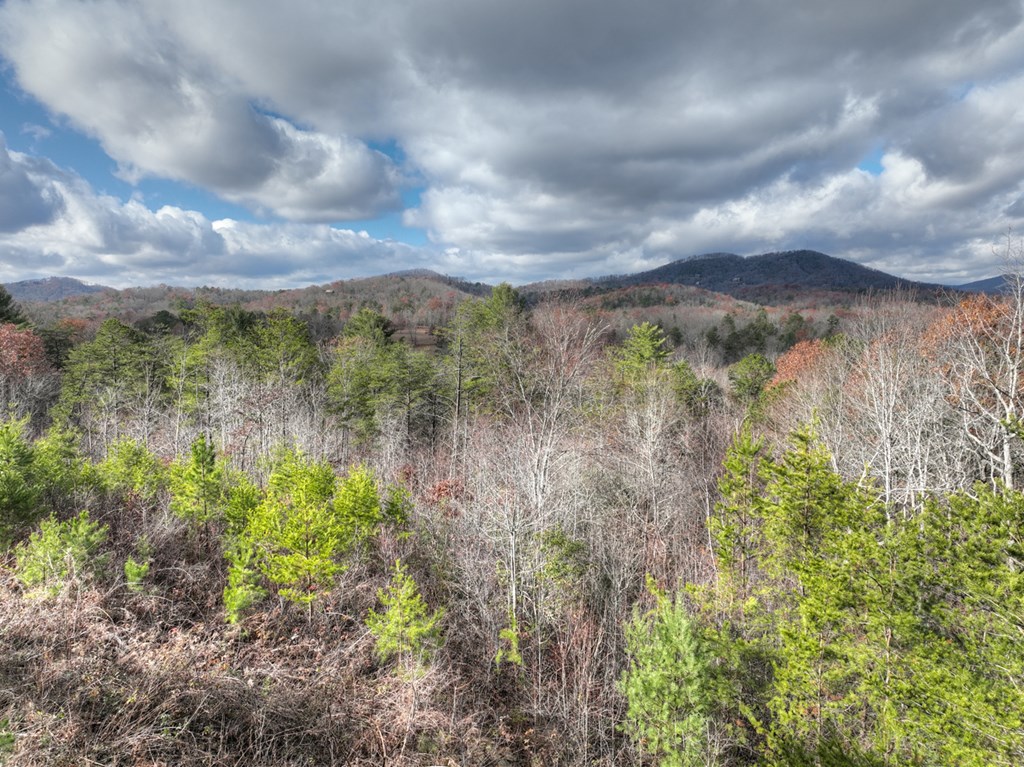 416714 Mineral Bluff Residential
