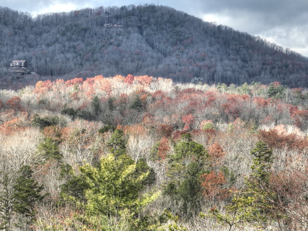 416714 Mineral Bluff Residential