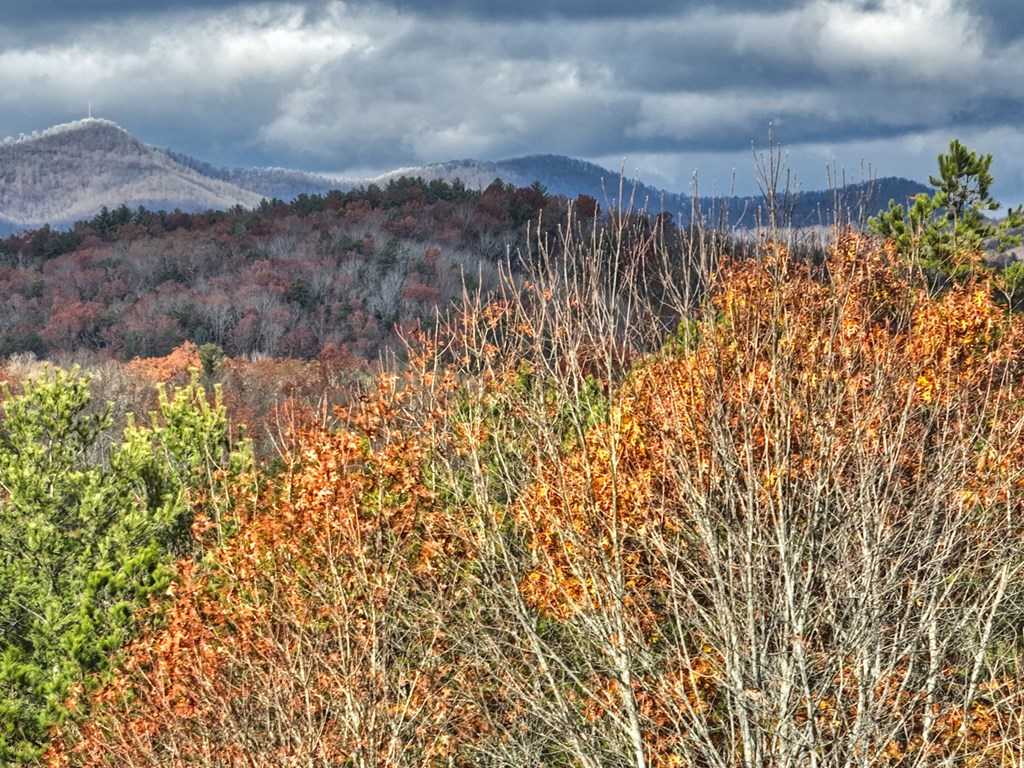 416714 Mineral Bluff Residential