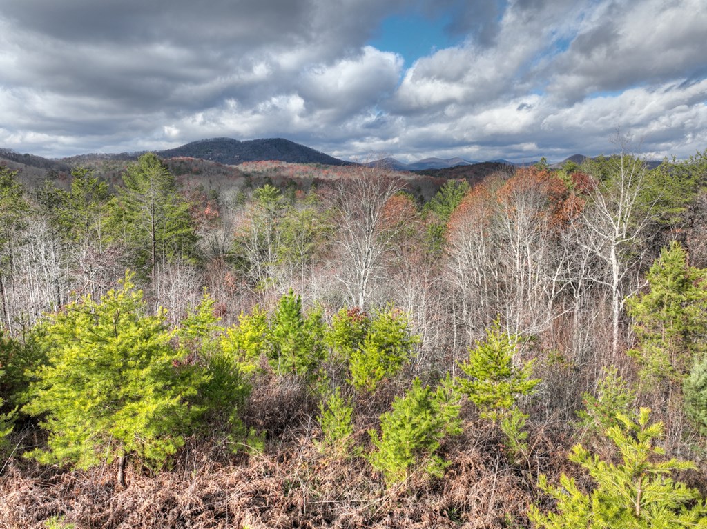 416714 Mineral Bluff Residential