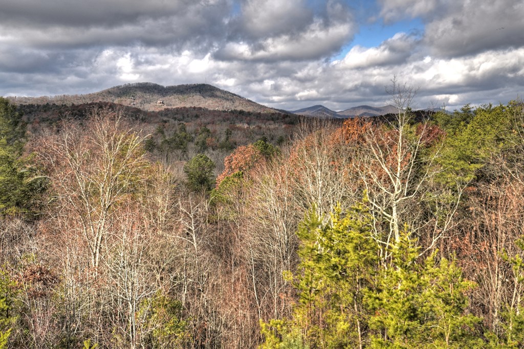 416714 Mineral Bluff Residential