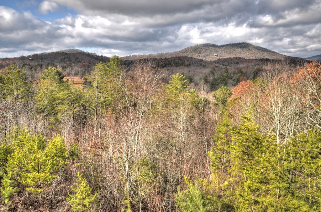 416714 Mineral Bluff Residential