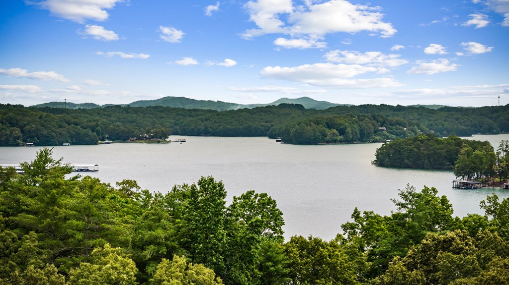 416723 Blue Ridge Residential