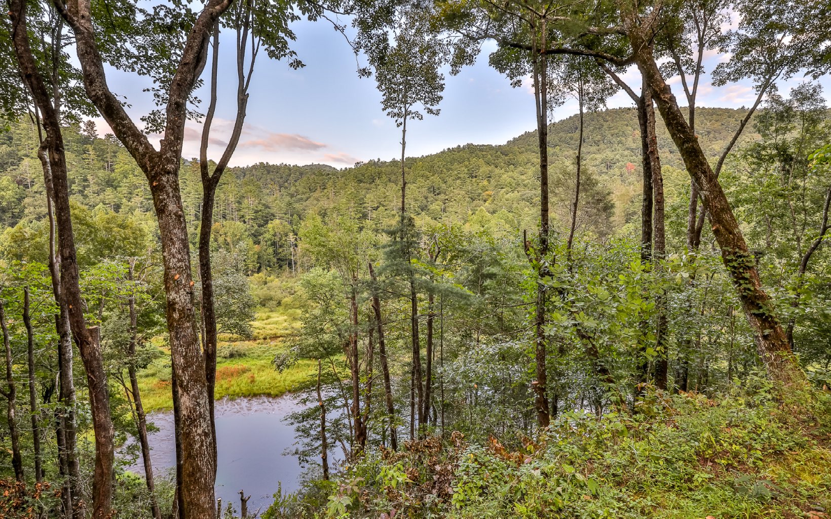 416740 Ellijay Residential