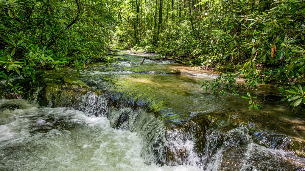 416749 Ellijay Residential