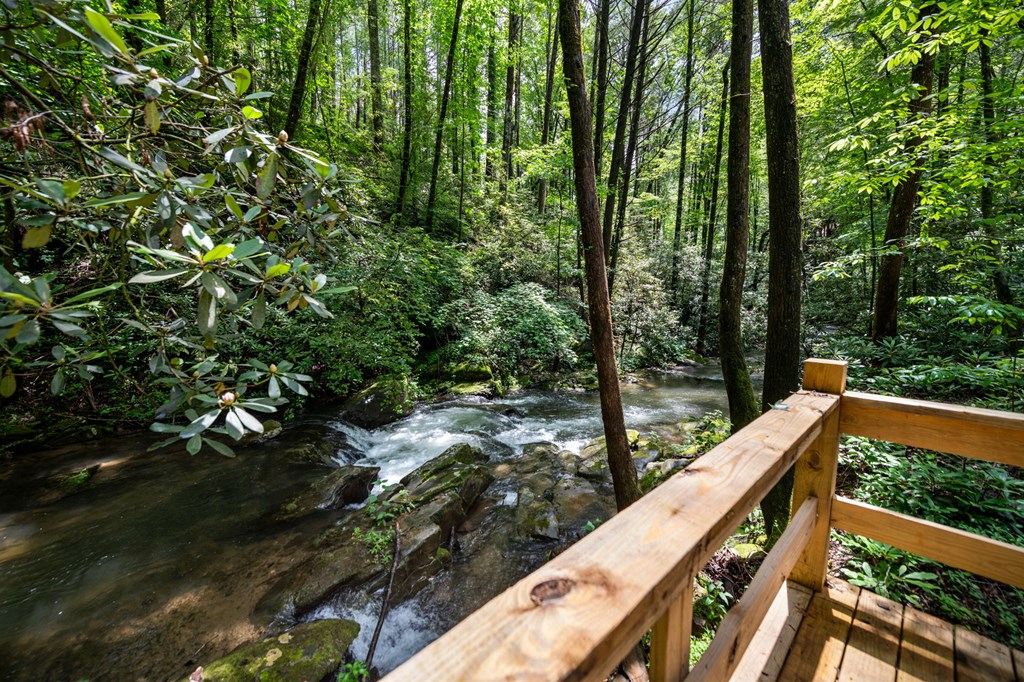 416749 Ellijay Residential