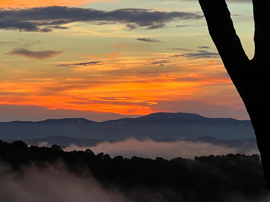 416755 Morganton Residential