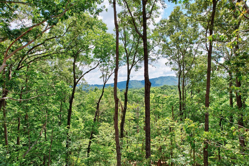 416763 Ellijay Residential