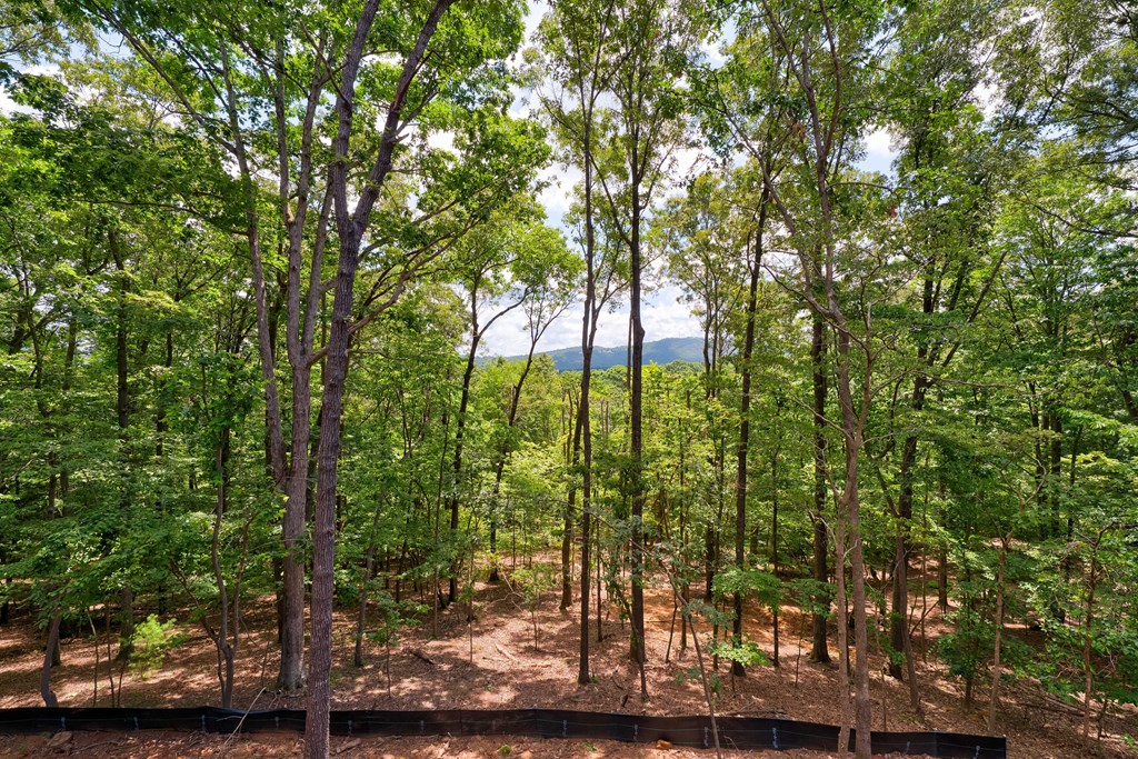 416763 Ellijay Residential