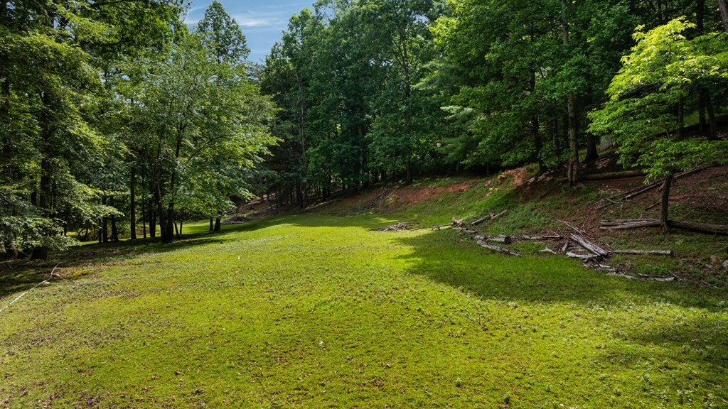 416765 Ellijay Residential