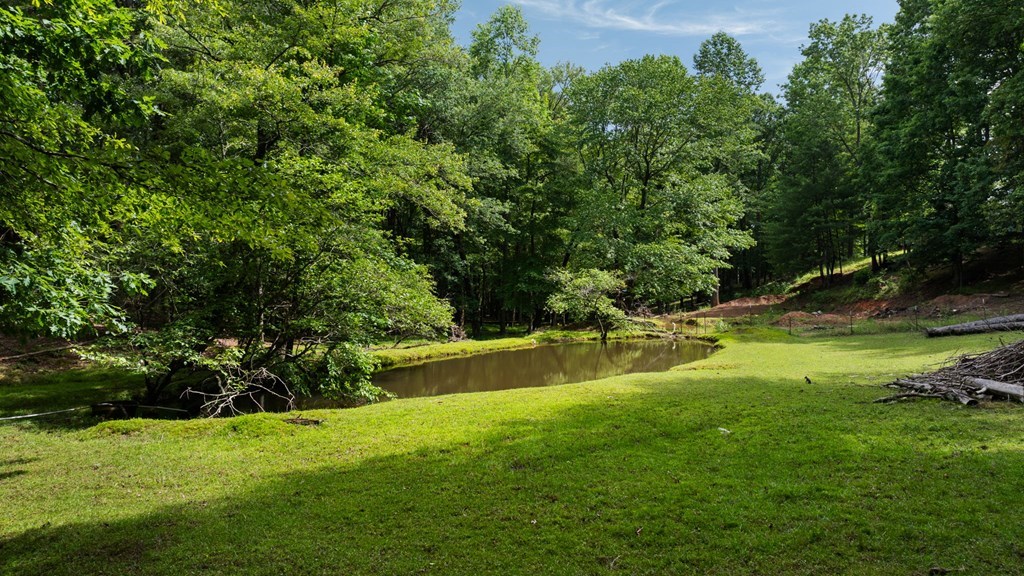 416765 Ellijay Residential
