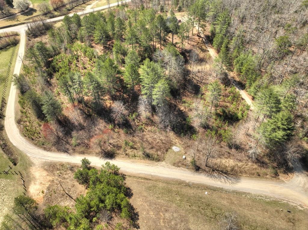 416773 Mineral Bluff 