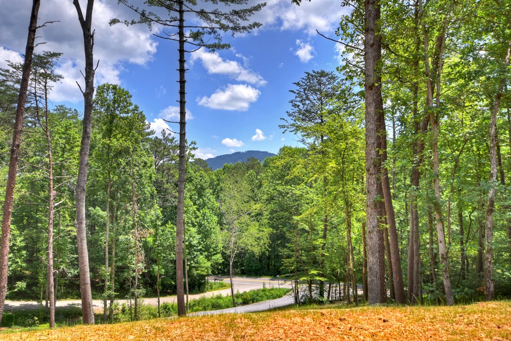 416798 Mineral Bluff Residential