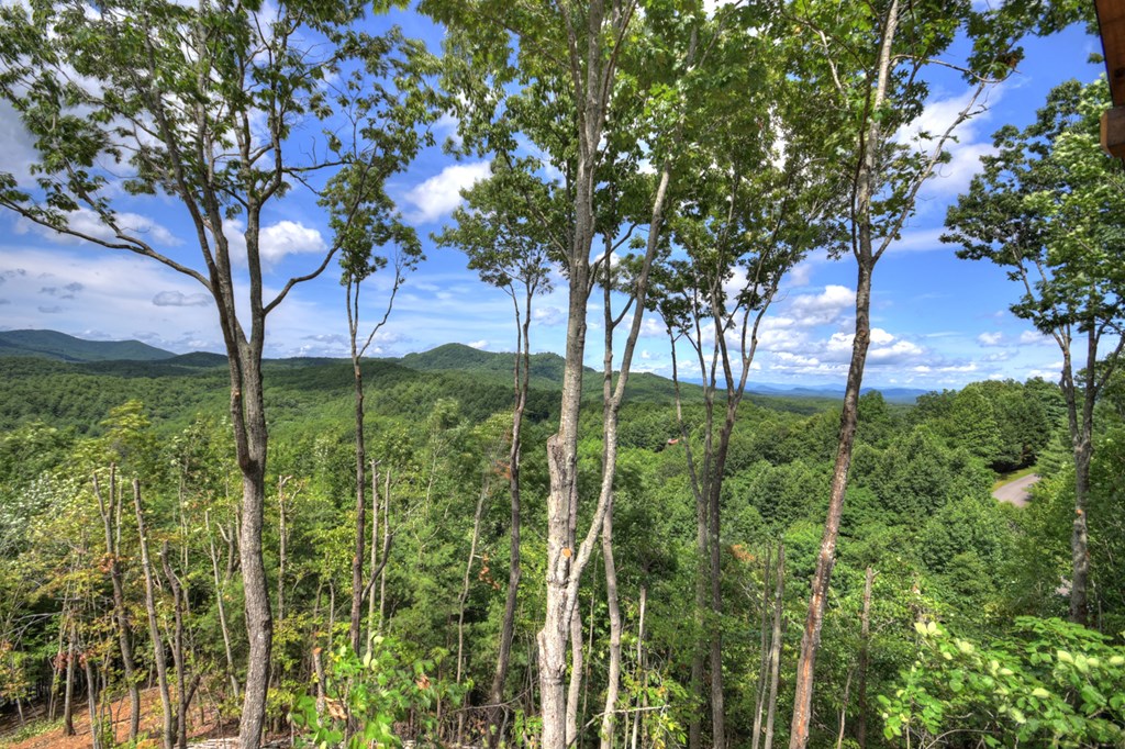 416799 Mineral Bluff Residential