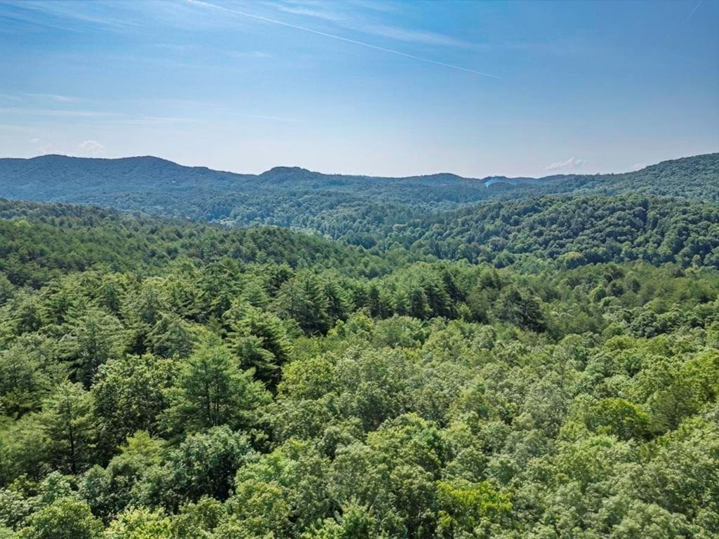 416830 Mineral Bluff 