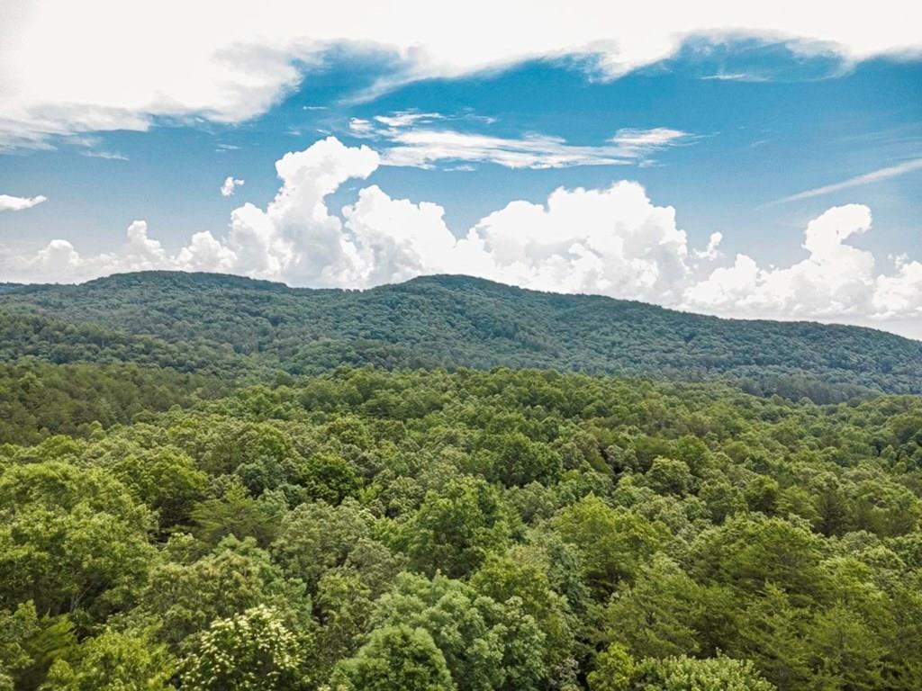 416832 Mineral Bluff 