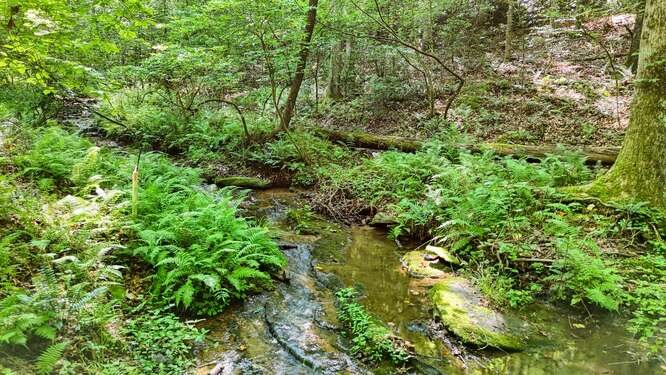 416833 Blairsville Residential