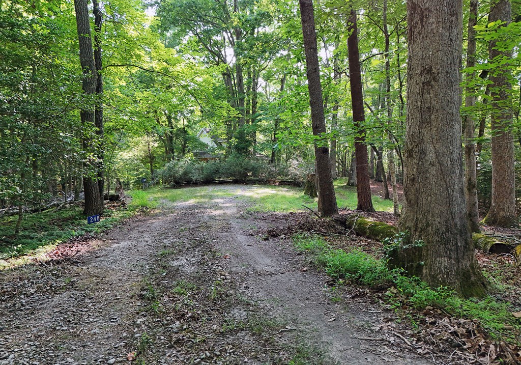 416836 Mineral Bluff Residential