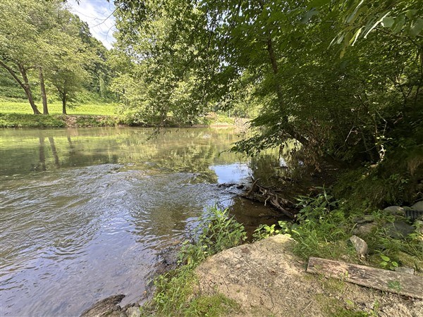 416851 Ellijay Residential