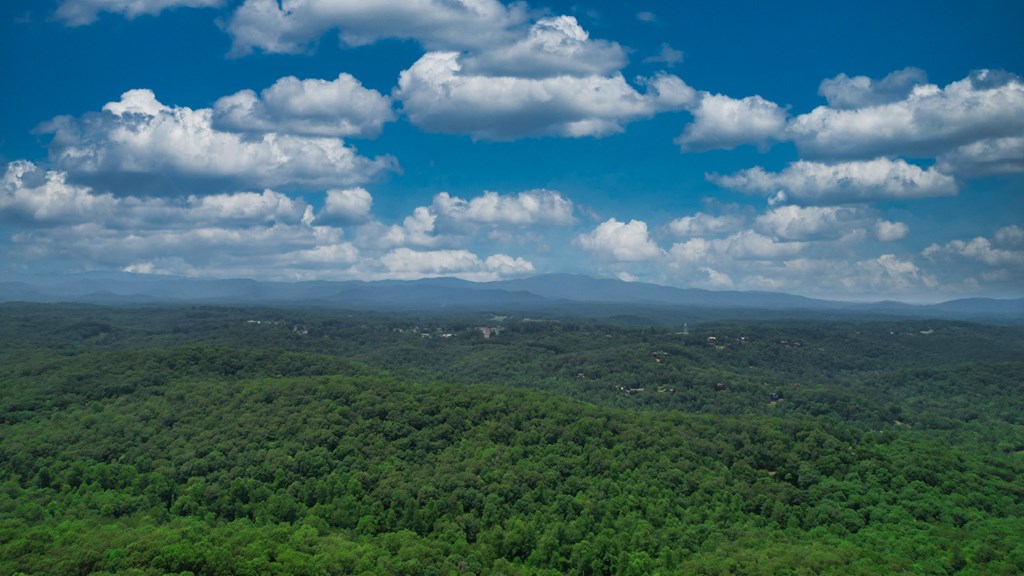 416873 Blue Ridge Residential