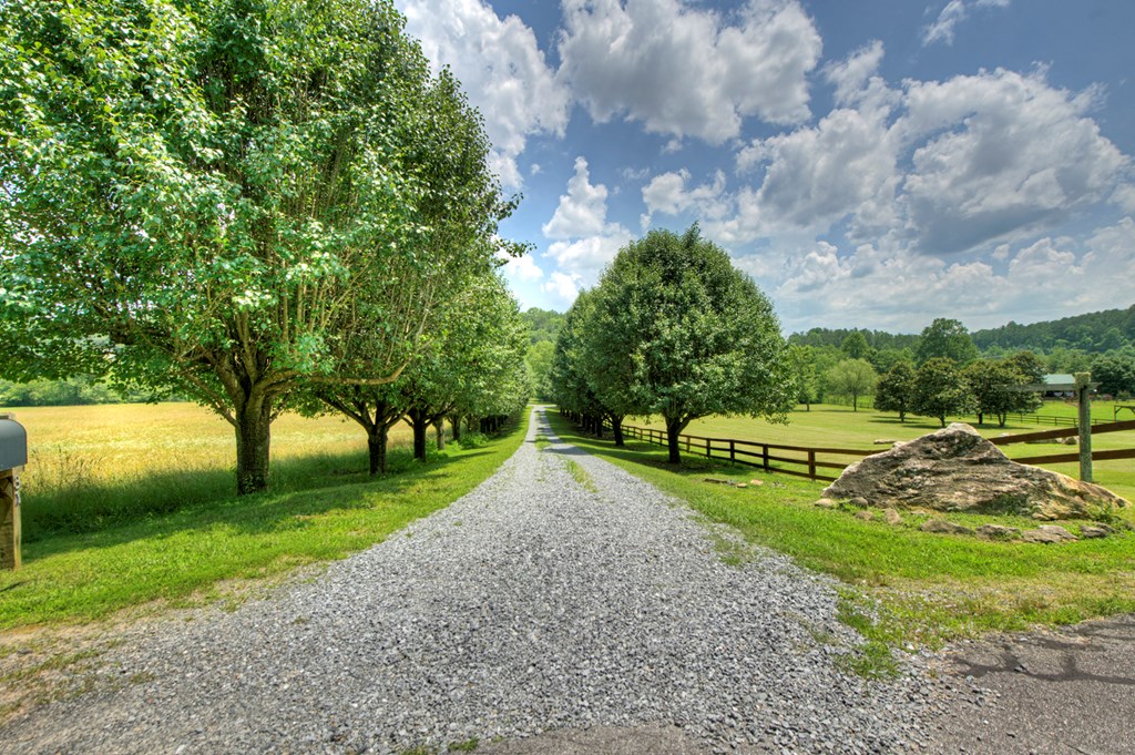 416880 Mineral Bluff Residential