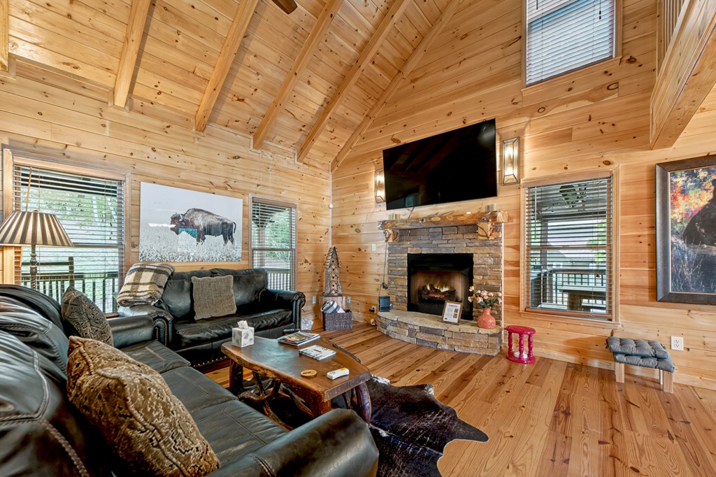 416881 Mineral Bluff Residential