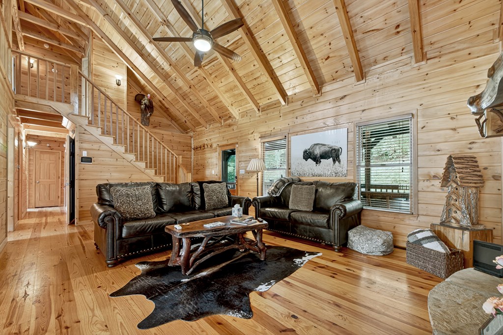 416881 Mineral Bluff Residential