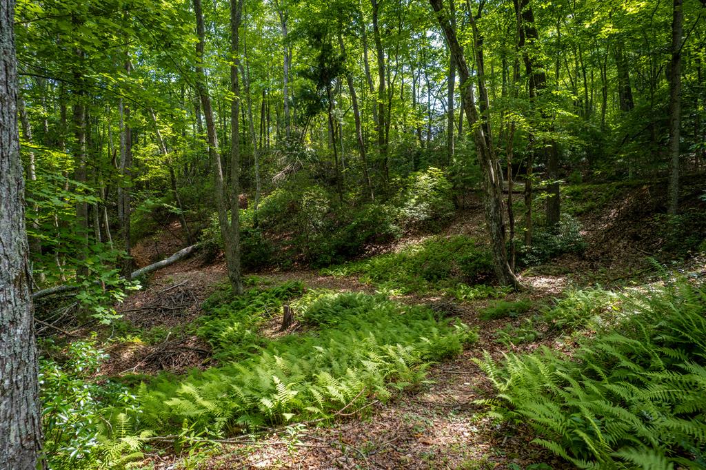 416913 Blairsville Residential