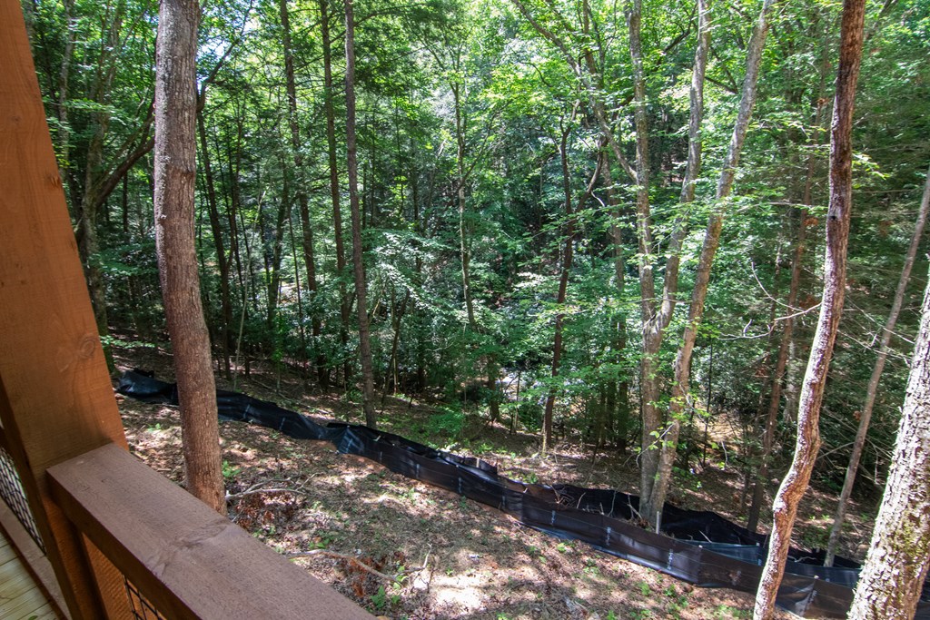 416916 Blue Ridge Residential