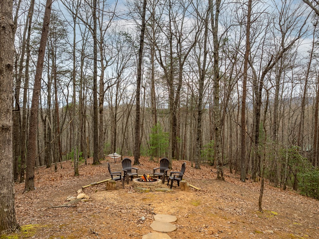 416946 Blue Ridge Residential