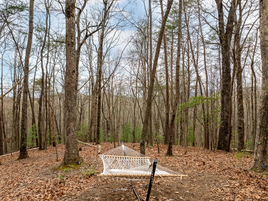 416946 Blue Ridge Residential