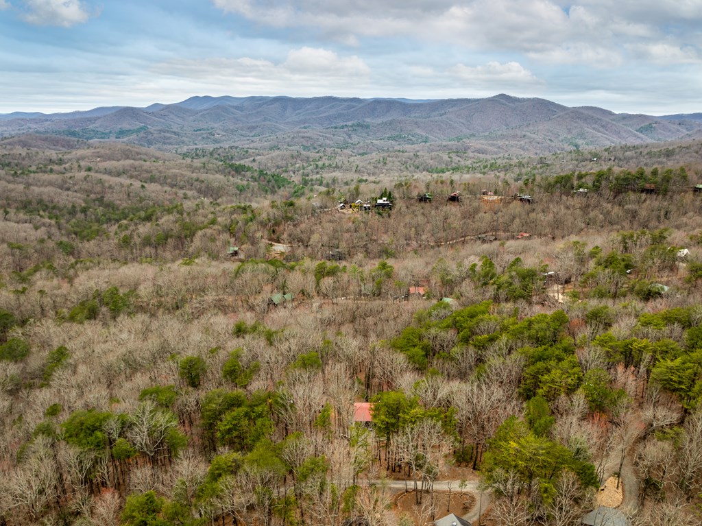 416946 Blue Ridge Residential