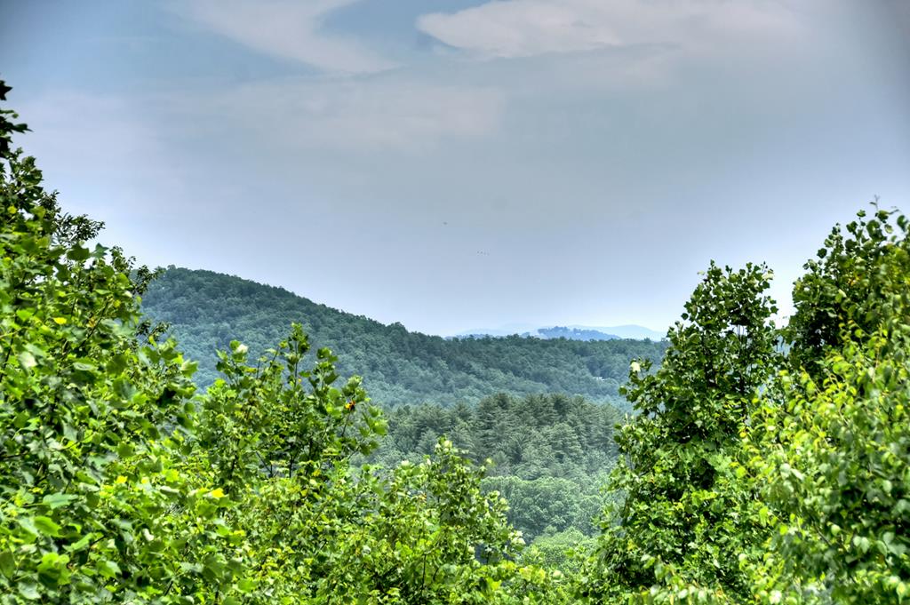 416964 Blue Ridge 
