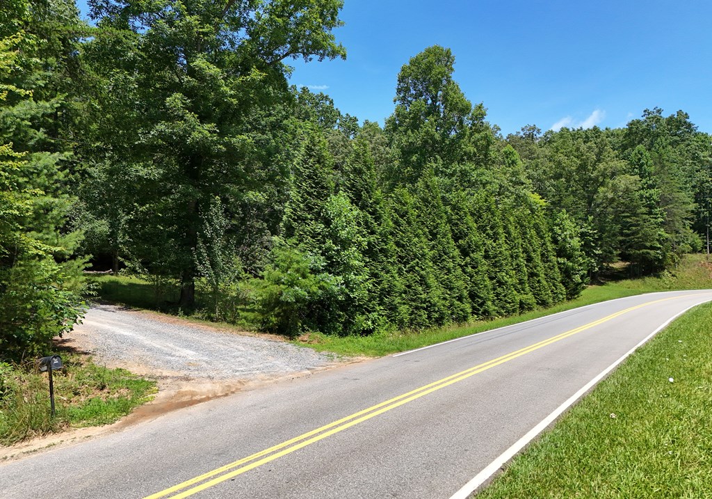 416969 Mineral Bluff Residential