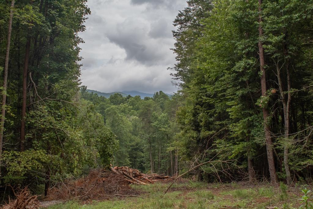416986 Blue Ridge Residential