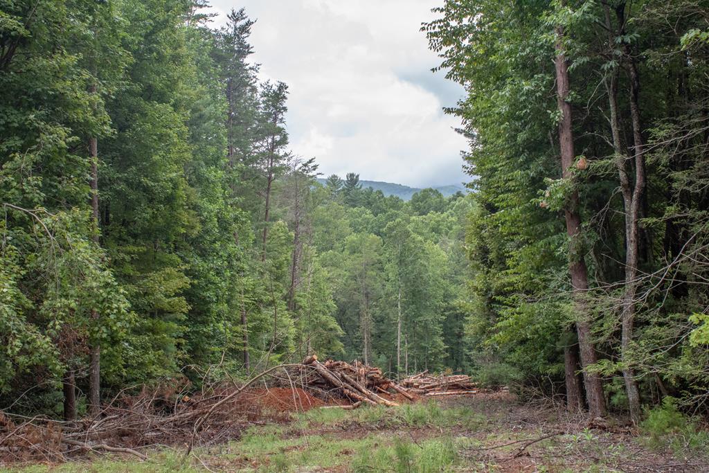 416986 Blue Ridge Residential
