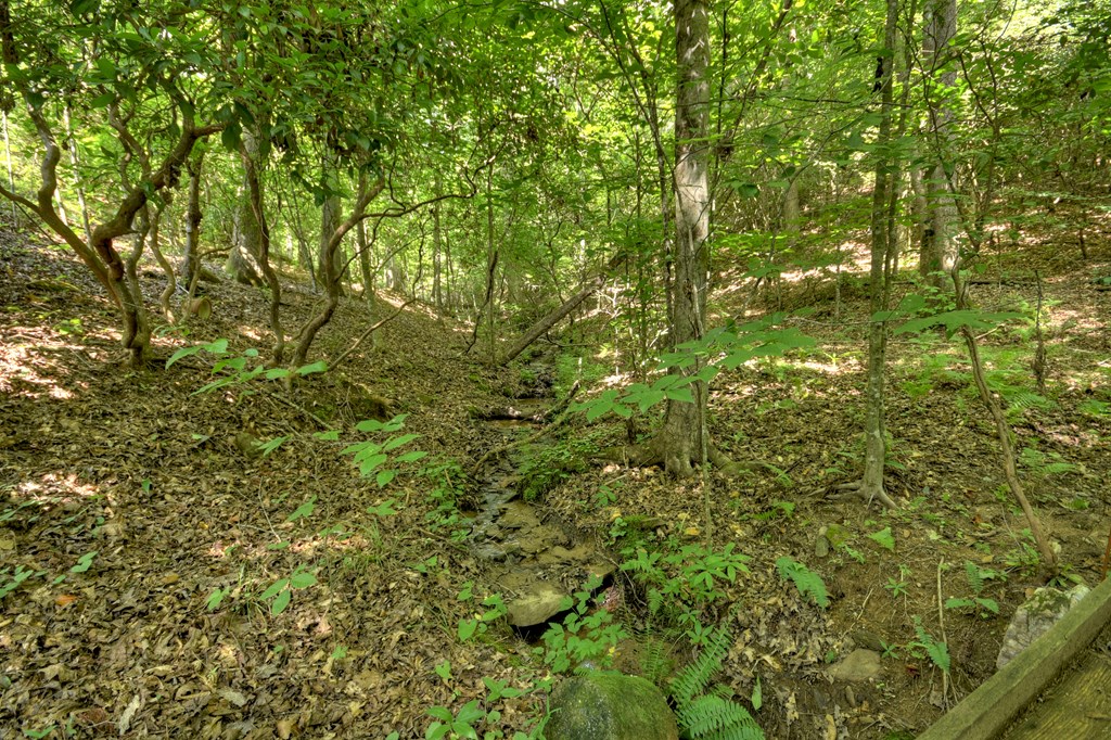417012 Mineral Bluff Residential