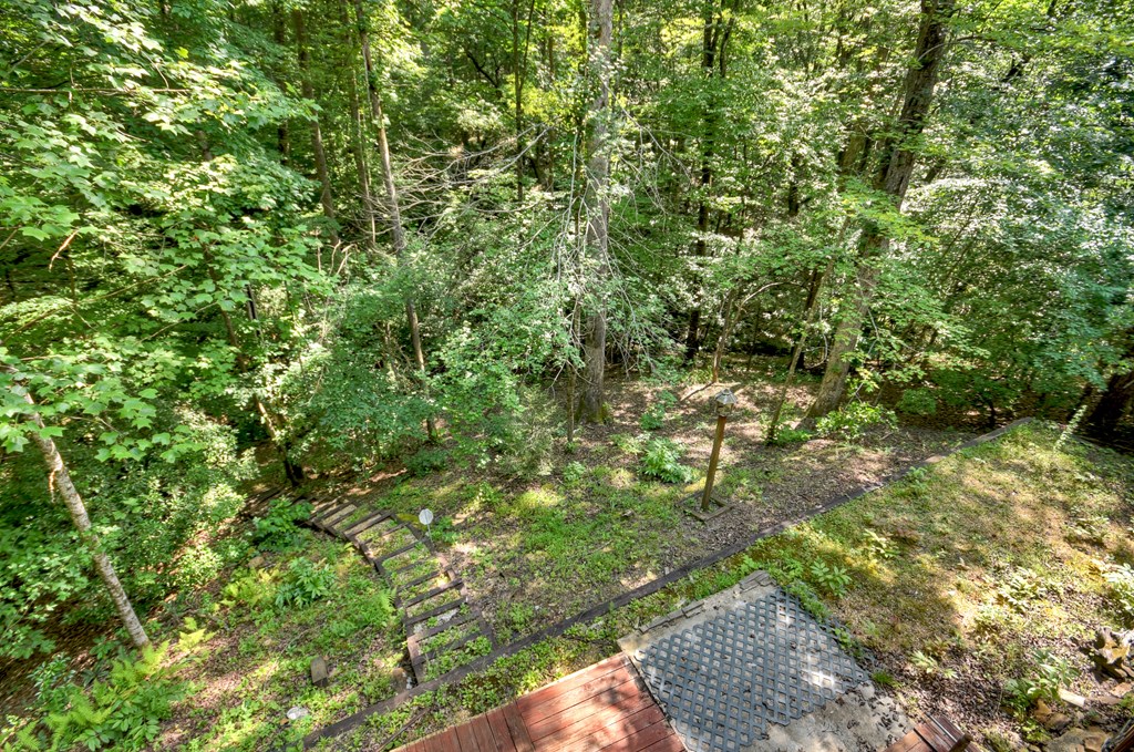 417012 Mineral Bluff Residential