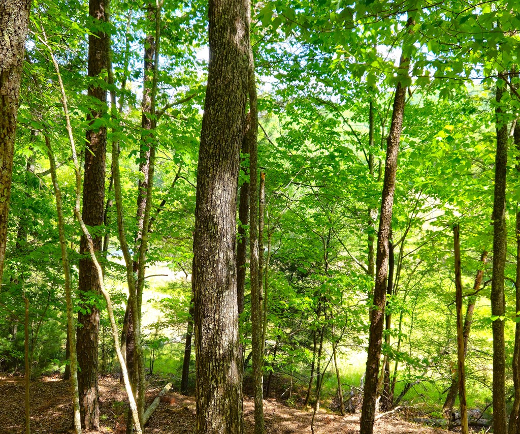 417044 Morganton Land