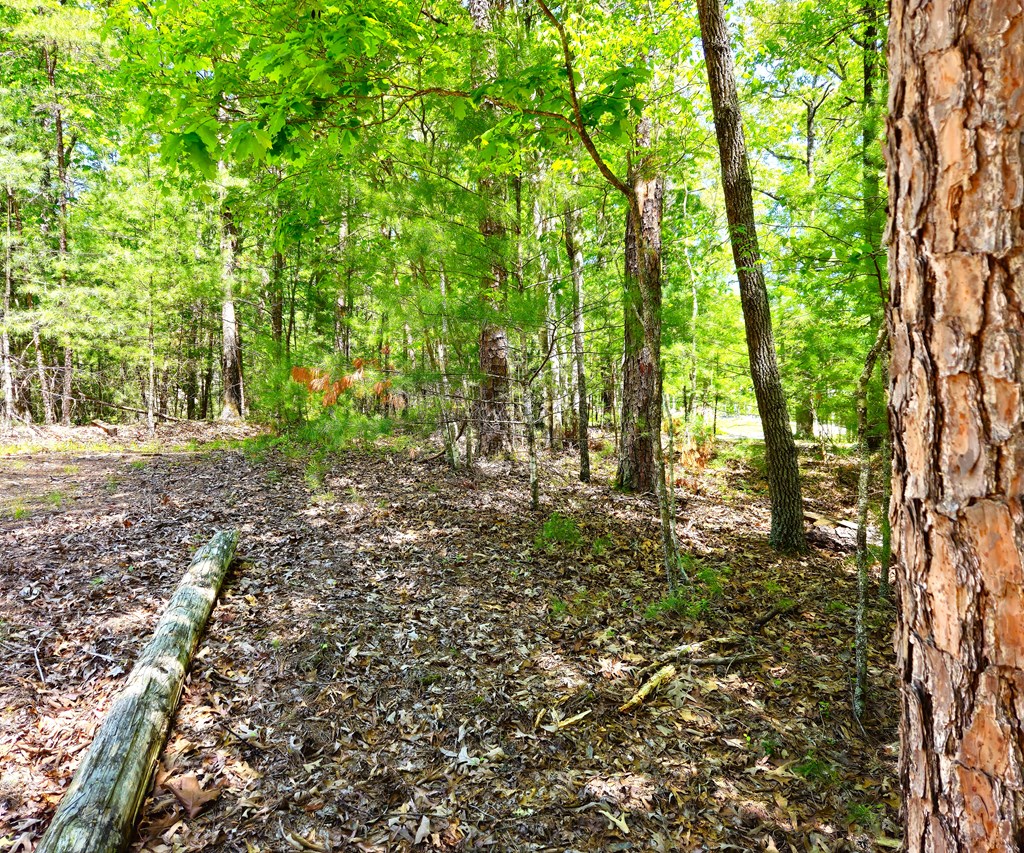 417044 Morganton Land