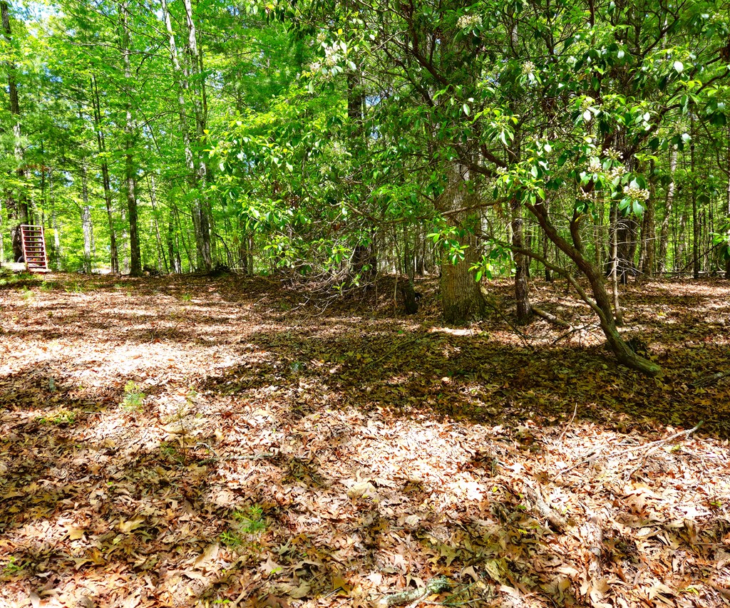 417044 Morganton Land