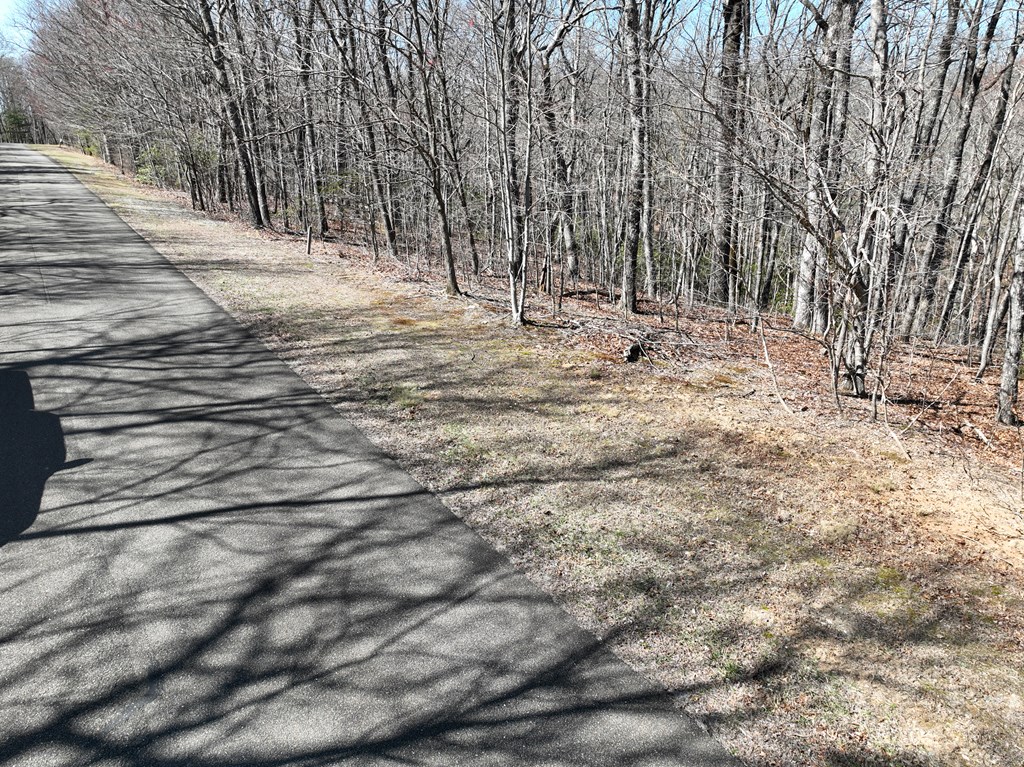 417049 Ellijay Land