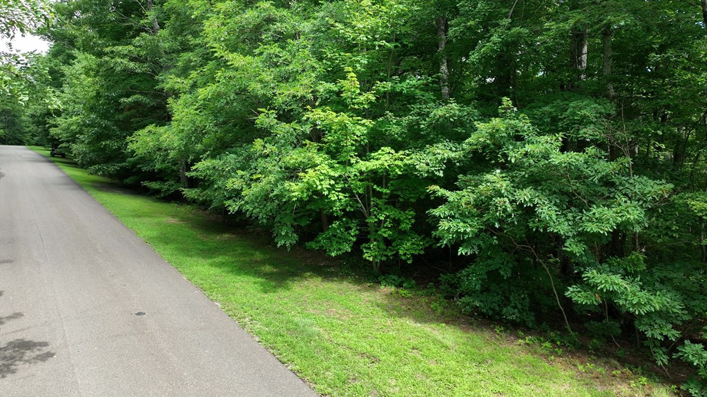 417049 Ellijay Land