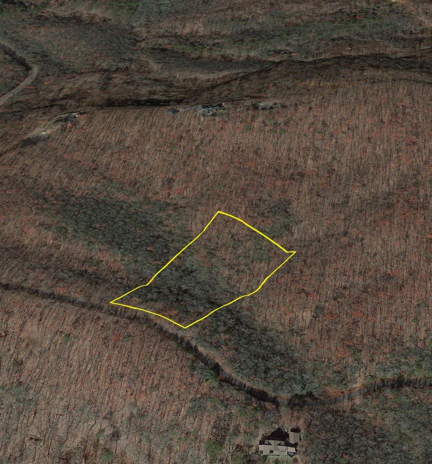 417049 Ellijay Land