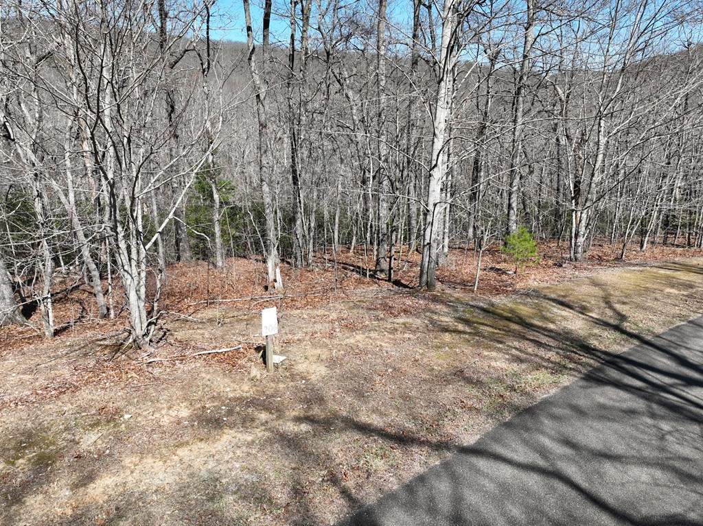 417049 Ellijay Land