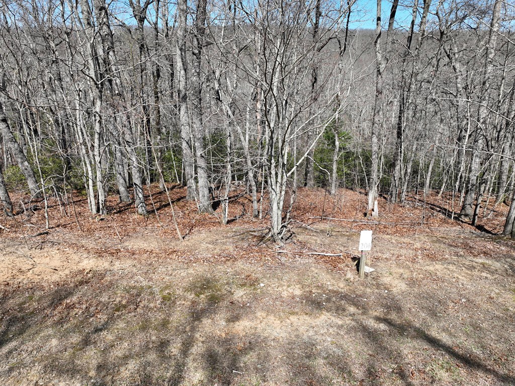 417049 Ellijay Land