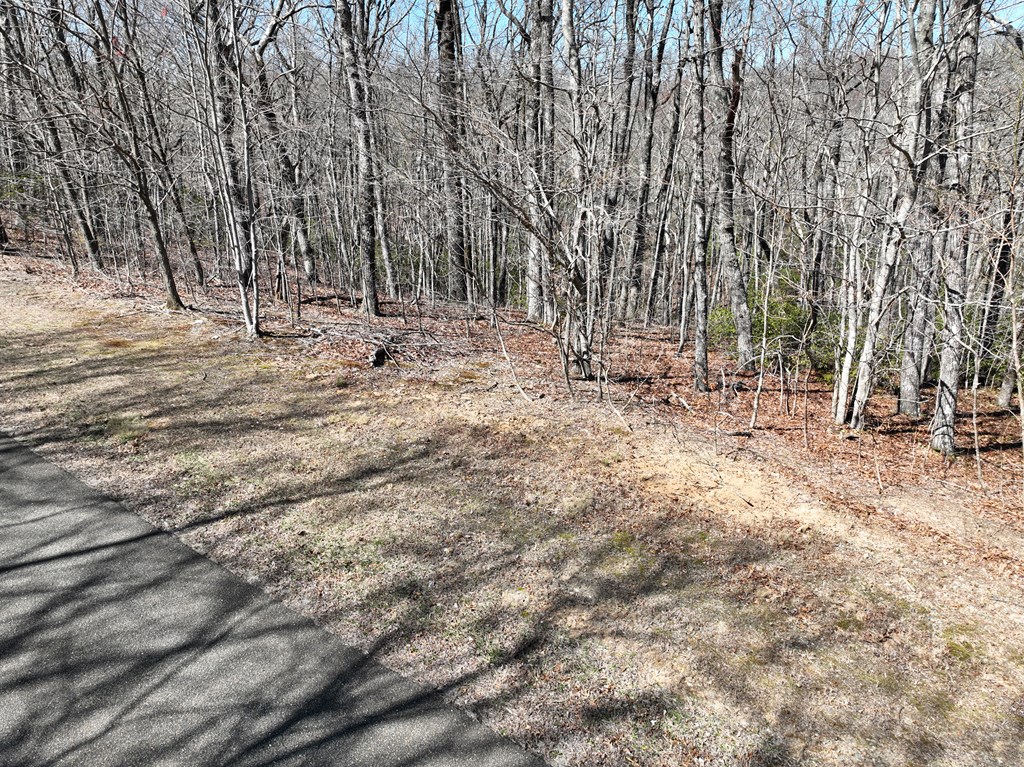 417049 Ellijay Land